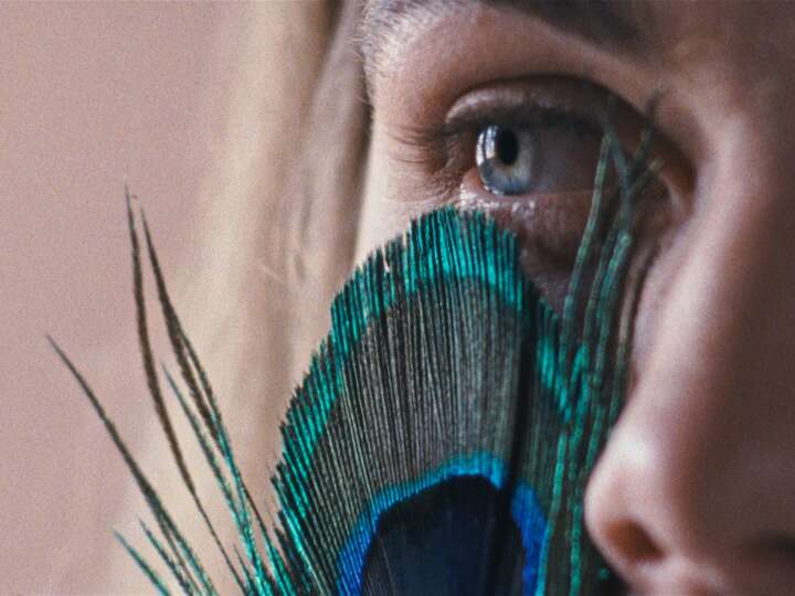 Candidato português aos Óscares em exibição no Festival Caminhos