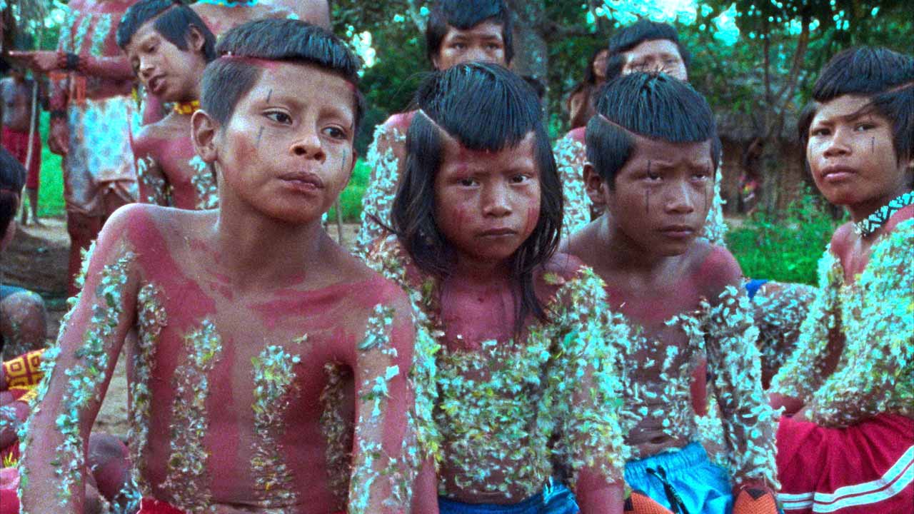 "A Flor do Buriti" já tem data de estreia em Portugal 1 13397